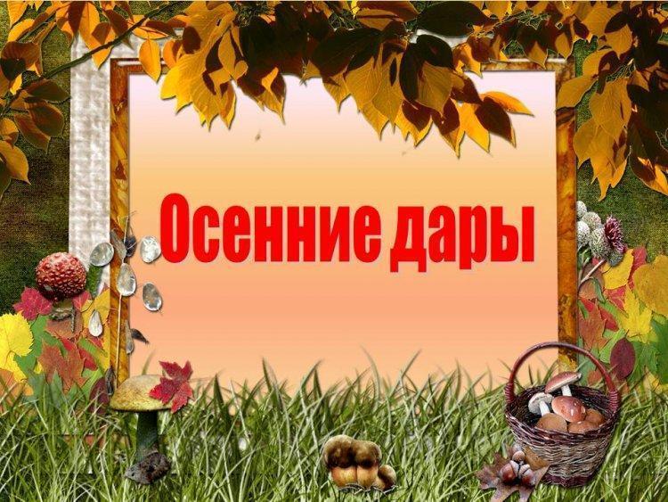 Выставка поделок "Дары Осени"