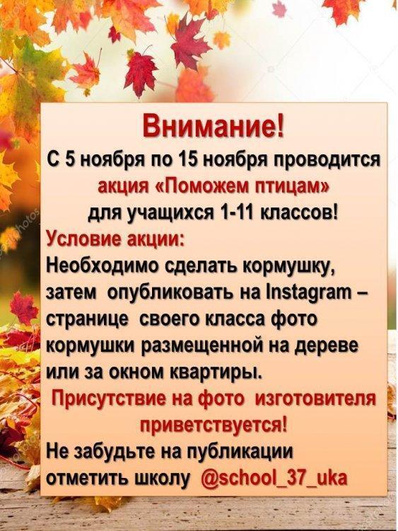 Акция "Поможем птицам"