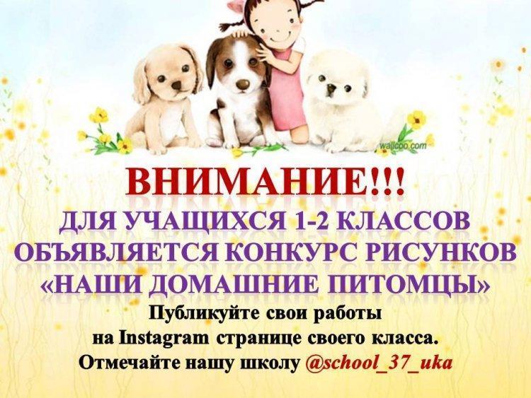 Конкурс рисунков "Наши домашние питомцы"
